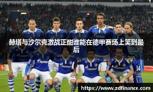 赫塔与沙尔克激战正酣谁能在德甲赛场上笑到最后